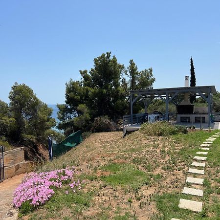 Ermojo Luxury Apartments Metokhion Patriotikon Εξωτερικό φωτογραφία
