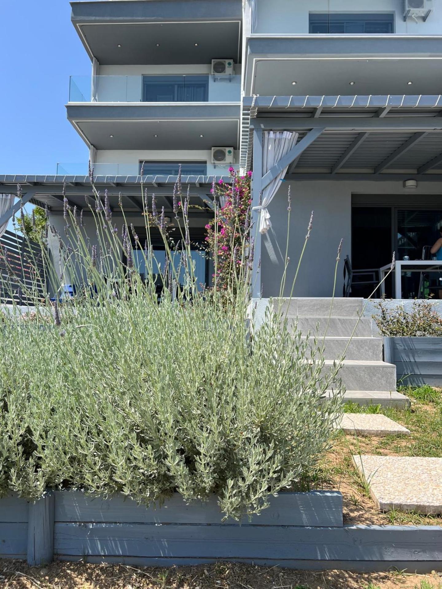 Ermojo Luxury Apartments Metokhion Patriotikon Εξωτερικό φωτογραφία