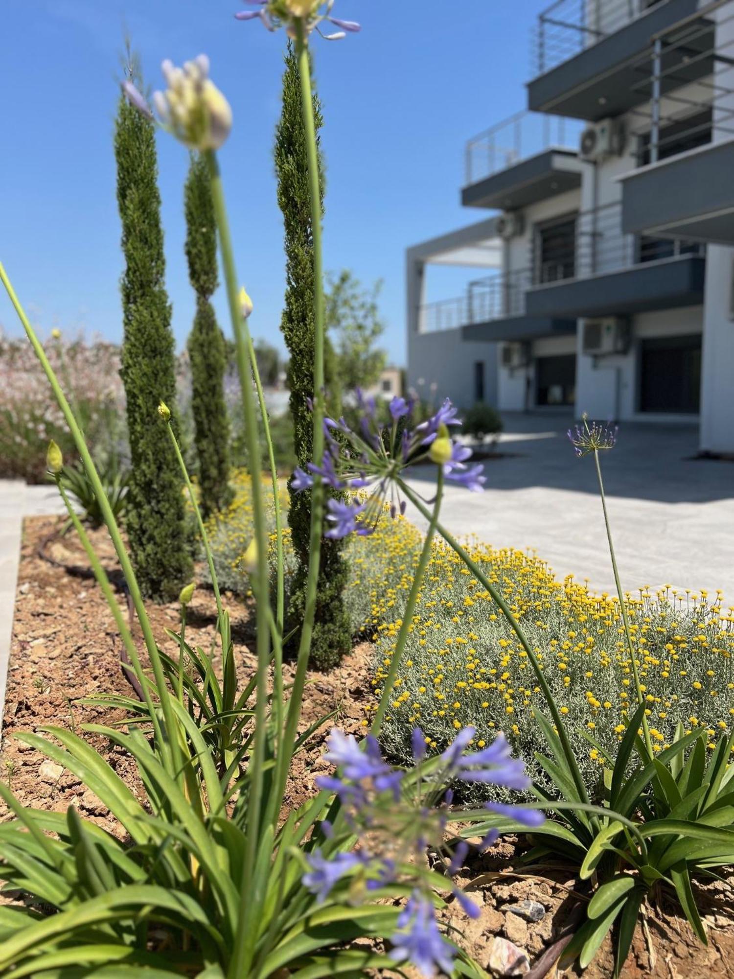 Ermojo Luxury Apartments Metokhion Patriotikon Εξωτερικό φωτογραφία